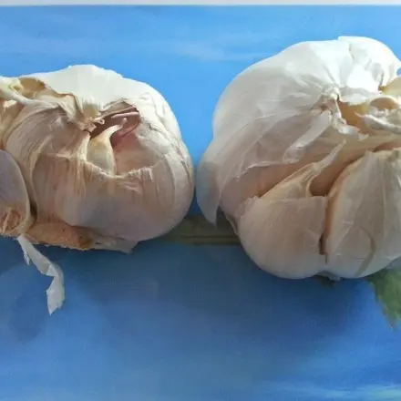 SOS Tipps gegen Knoblauchgeruch