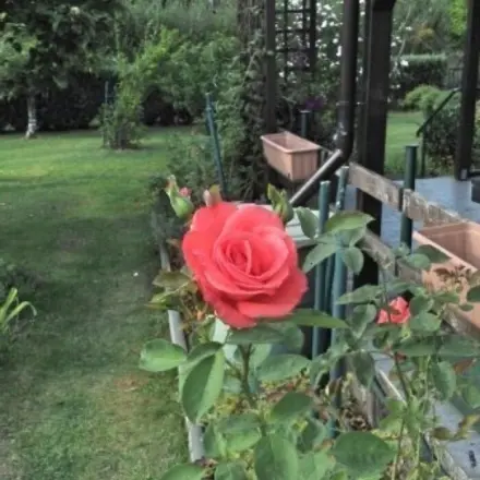 Schwarzer Friesentee mit eigener Blütenmischung