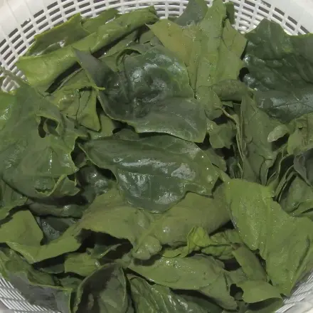 Spinatsalat