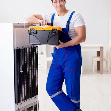 Verborgenes Stinkmonster in der Küche schnell entfernt