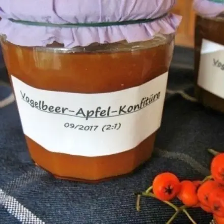 Vogelbeer-Apfel-Konfitüre