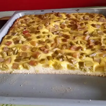 Rhabarberkuchen mit Hefeteig und Vanillepudding