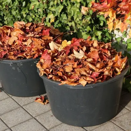 Gratis Plastikkübel für den Garten