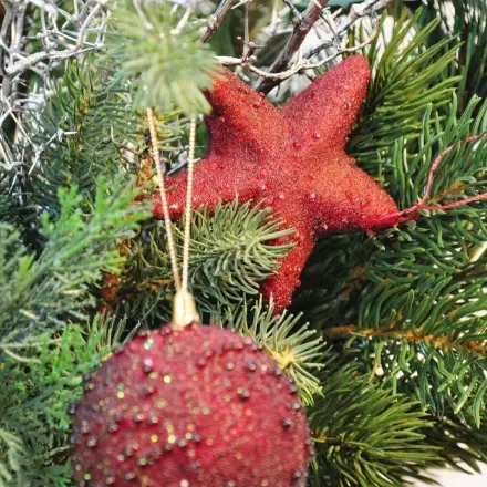 Kleiner Tipp für den schmalen Geldbeutel zu Weihnachten