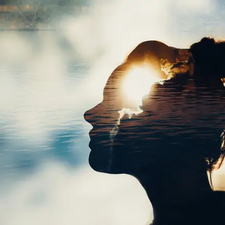 Intuition vs. Verstand - Wenn der Bauch entscheidet