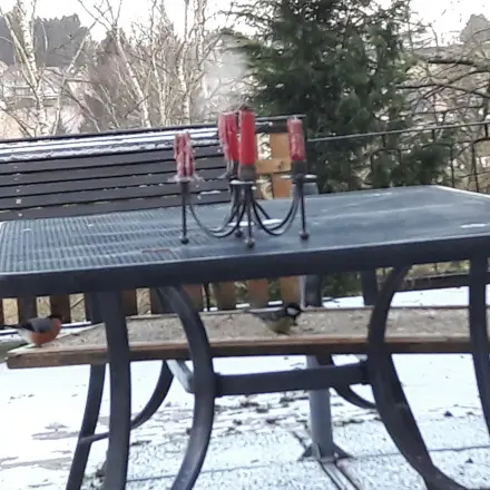 Balkontisch als Vogelfutterplatz