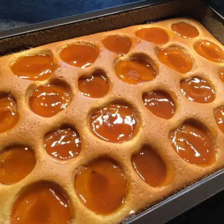 Marillenkuchen