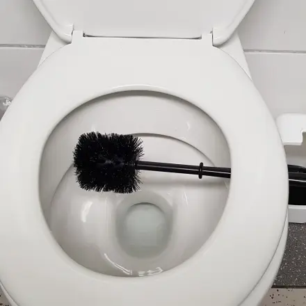 Toilettenbürste desinfizieren