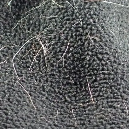 Tierhaare mit einem feuchten Lappen entfernen