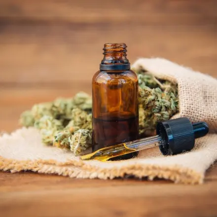 Risiken beim Cannabis-Konsum minimieren
