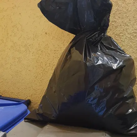 Tiere von der Mülltonne fernhalten