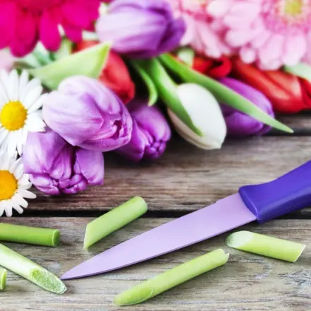 Schnittblumen richtig anschneiden