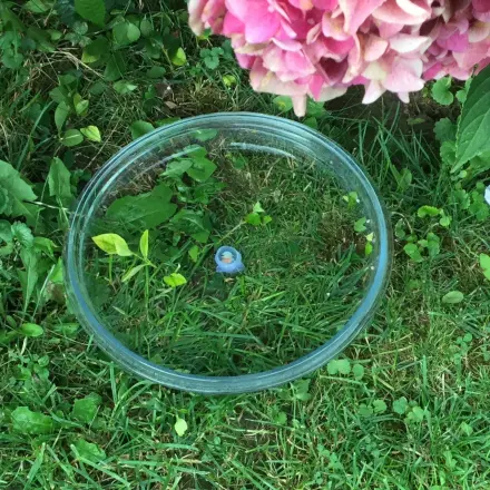 Vogel- oder Igeltränke einfach herstellen