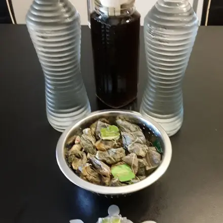 Platz sparen im Kühlschrank durch "Teekonzentrat"