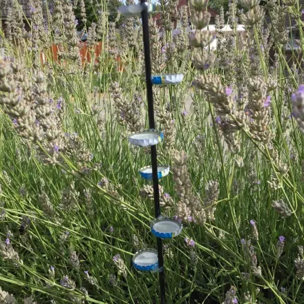 Insektentränke mit Landemöglichkeit bauen