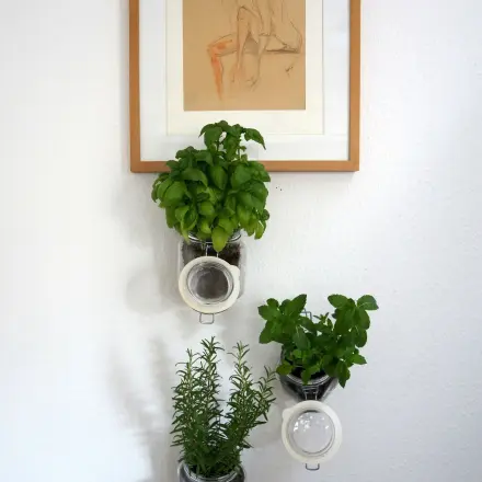 Kräutergarten im Einweckglas