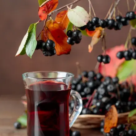 Herbstlicher Likör mit Holunderbeeren, Schlehen & Zimt