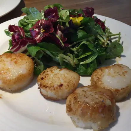 Leckere angebratene Jakobsmuscheln mit Salat