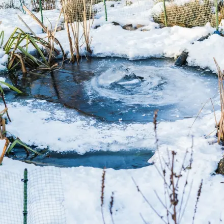 Zugefrorener See oder Teich: Trinkstelle für Tiere schaffen