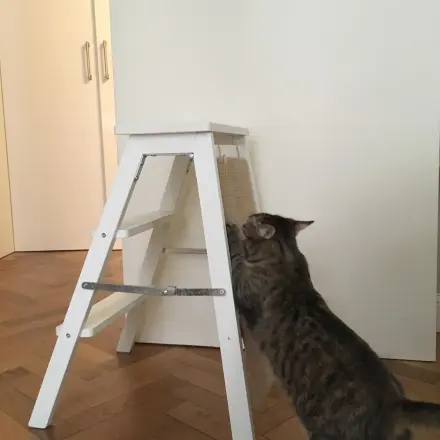 Kratz-Trittleiter für Katzen
