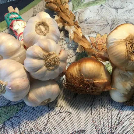 Würzen mit geräuchertem Knoblauch