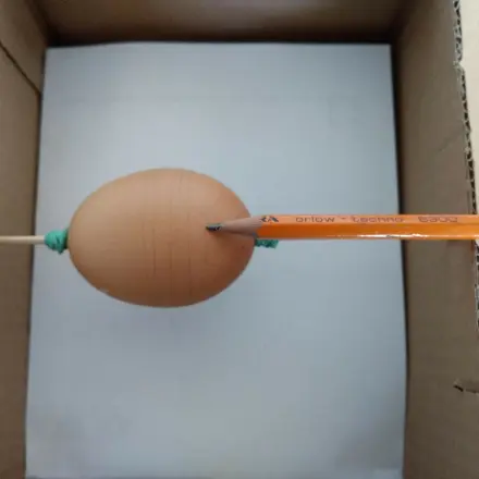 Viele Kreise perfekt auf ein Ei bringen