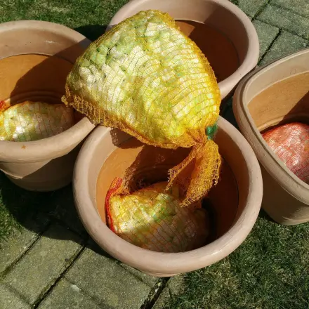 Große Blumenkübel bepflanzen & Drainage herstellen