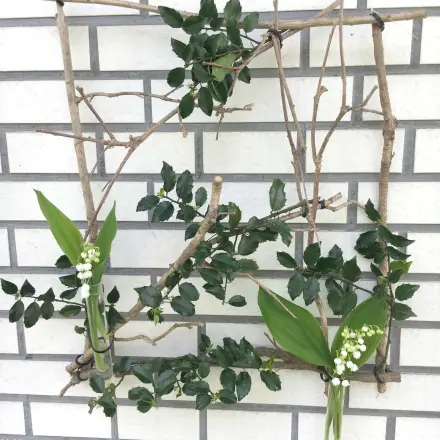 Zarter Fensterschmuck aus der Natur