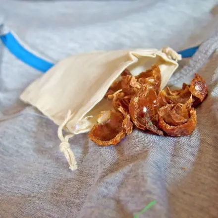 Indische Waschnussschalen - ergiebig und ökologisch