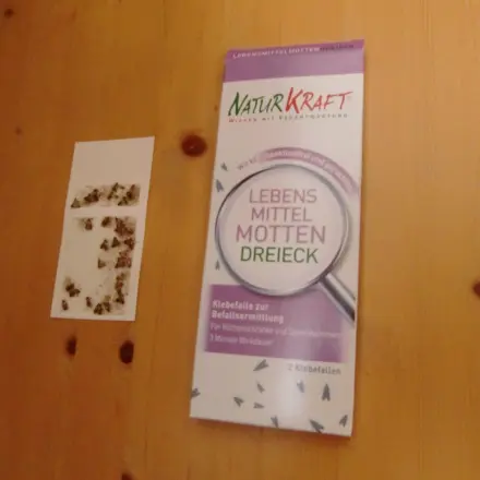 Lebensmittelmotten bemerken und bekämpfen