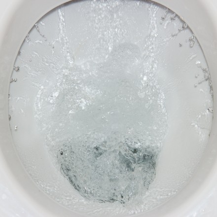 Kalkablagerungen im WC entfernen, bis unter den Rand