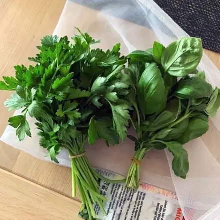 Kräuter etwas antrocknen - so geht es ganz einfach!