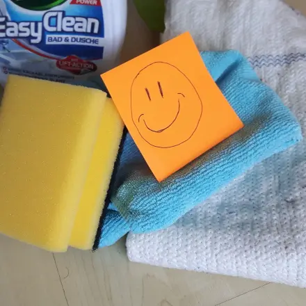 Micro-Cleaning für Putzmuffel!