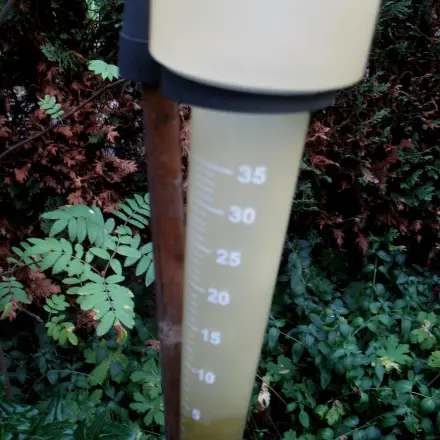 Richtiges Bewässern des Gartens bei hochsommerlichen Temperaturen