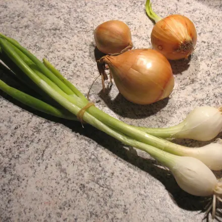 Die unterschiedlichen Zwiebelsorten und ihre Verwendung
