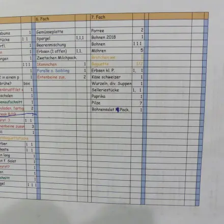 Wiedereinräumen des Tiefkühlschrankes mit Diktiergerät