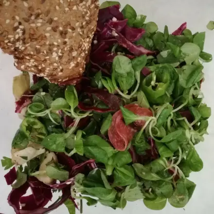 Feldsalat mit Putensalami, Artischocken, Grillpaprika und Rotkraut