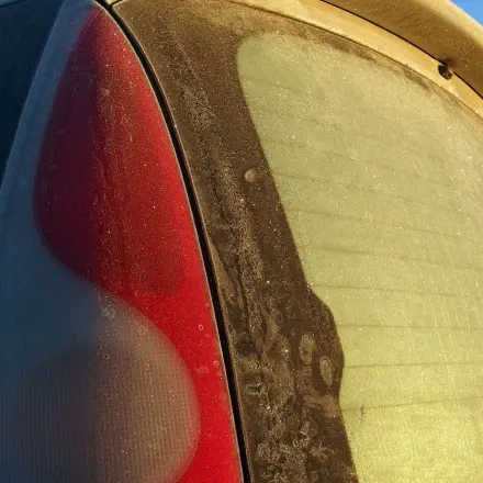 Morgens keine vereisten Autoscheiben mehr