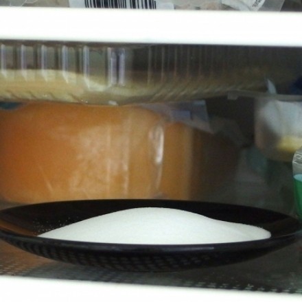 Gegen Gerüche aus Kühlschrank und Geschirrspüler