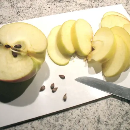 Kerngehäuse von Äpfeln mitessen - schädlich oder gesund?