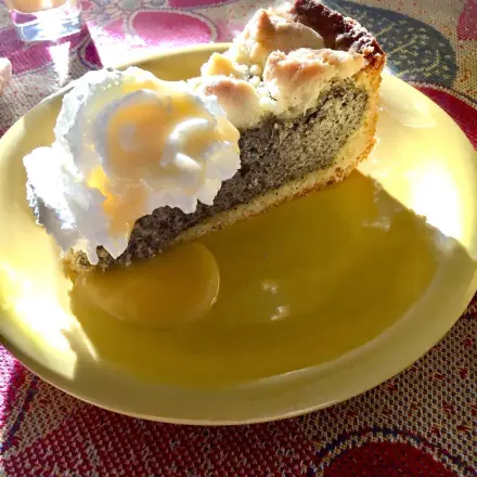 Mohnkuchen - saftig und nicht so süß