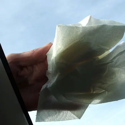 Insekten auf der Windschutzscheibe