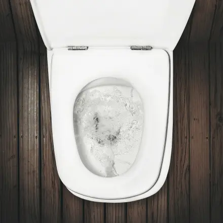 Verstopfte Toilette freibekommen