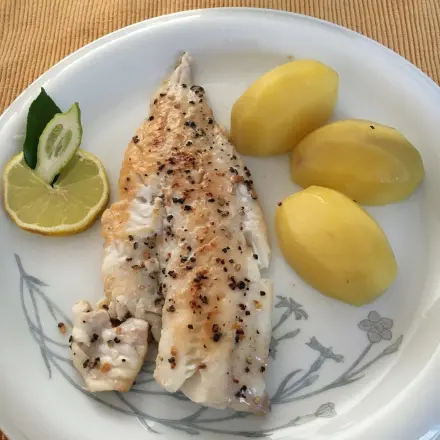 Fisch fettarm braten