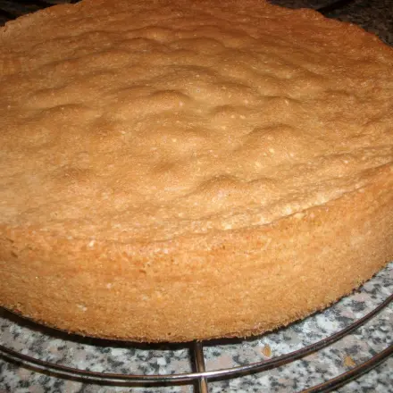 Bester Biskuit nach Mamas Art