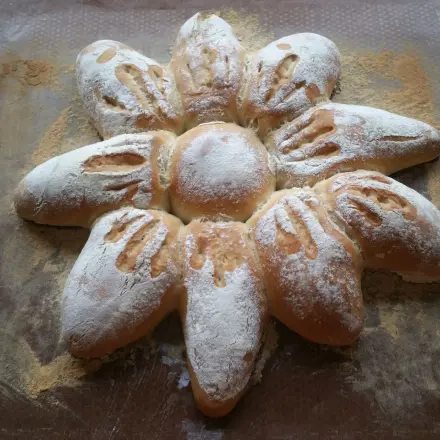 Brot-Sonnenblume