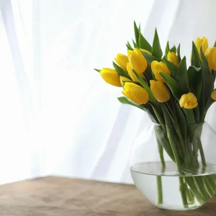 Strauß Tulpen bis zu 2 Wochen haltbar machen