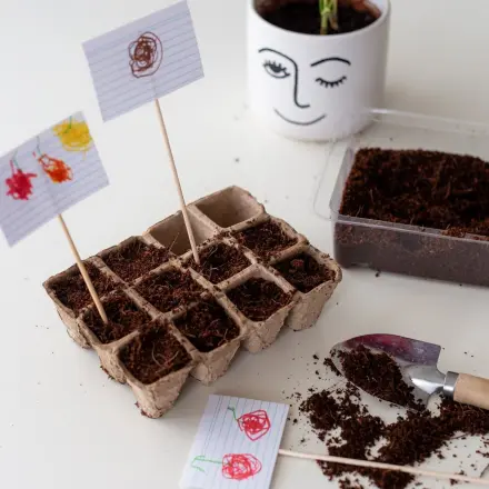 Eigenes Essen zu Hause und im Garten anbauen