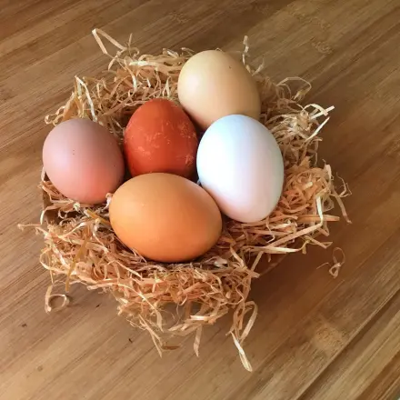 Ostereier mit Zwiebelschalen färben - verschiedene Farbtöne