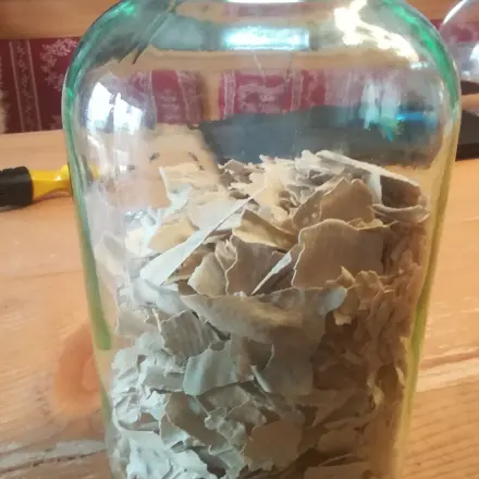 Sauerteig-Vorrat herstellen, konservieren & haltbar machen